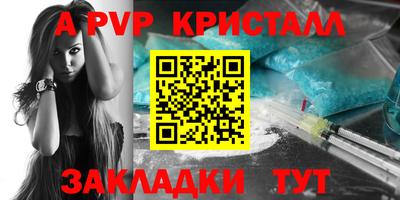гашик Будённовск
