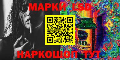 гашик Будённовск