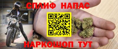 гашик Будённовск
