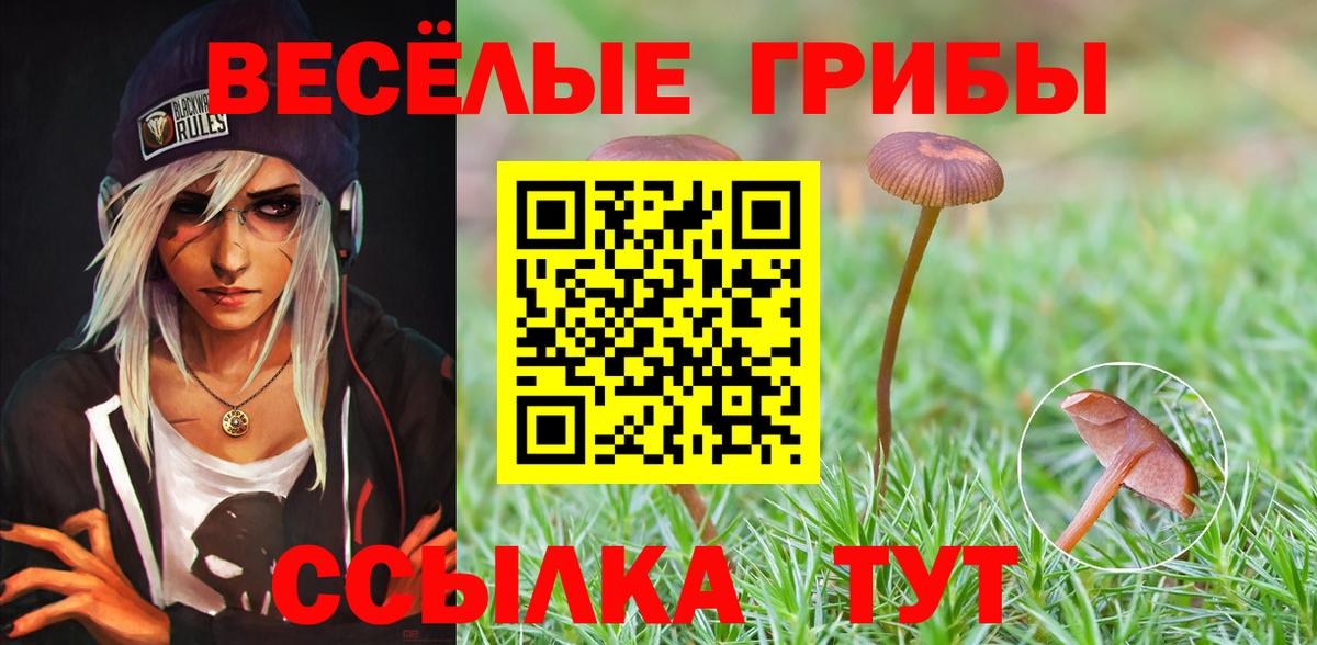Галлюциногенные грибы мицелий Курчатов