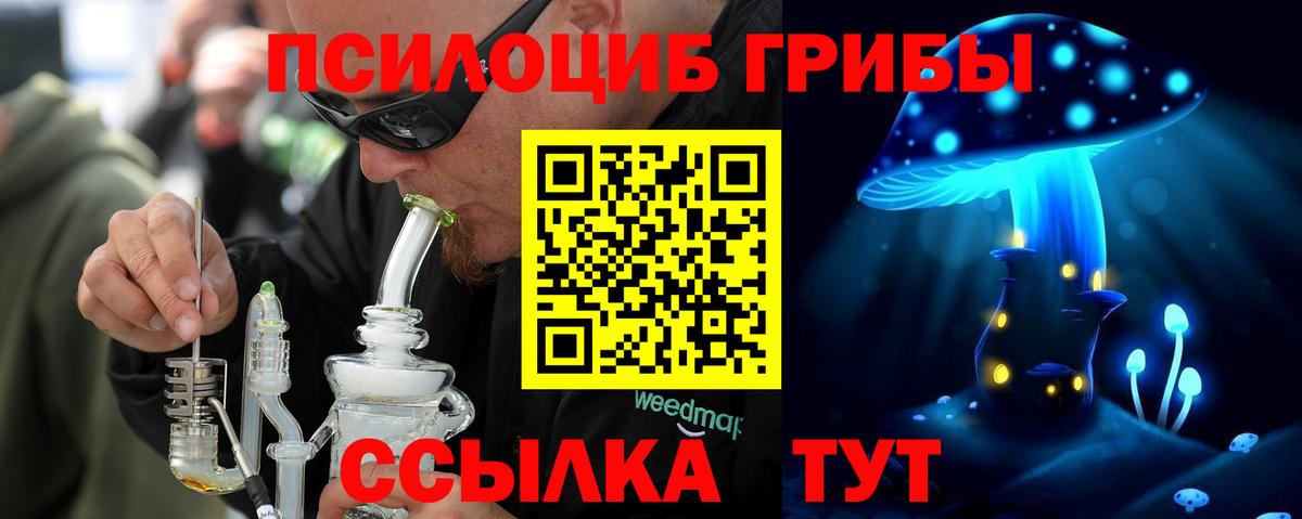 Курчатов  Псилоцибиновые грибы Magic Shrooms  цена   Вход с VPN 